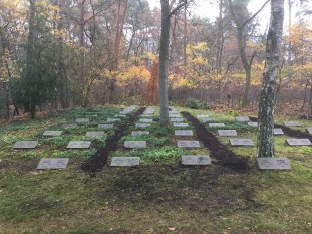 Erinnerungen bewahren: Schülerinnen und Schüler des Gregor-Mendel-Berufskollegs pflegen Kriegsgräber der Kriegsgräberstätte „Auf dem Dörenkamp“ in Sennelager